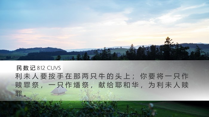 民 数 记 8:12 CUVS Desktop Wallpaper - 利 未 人 要 按 手 在 那 两 只 牛 的 - Desktop Bible Verse Wallpaper