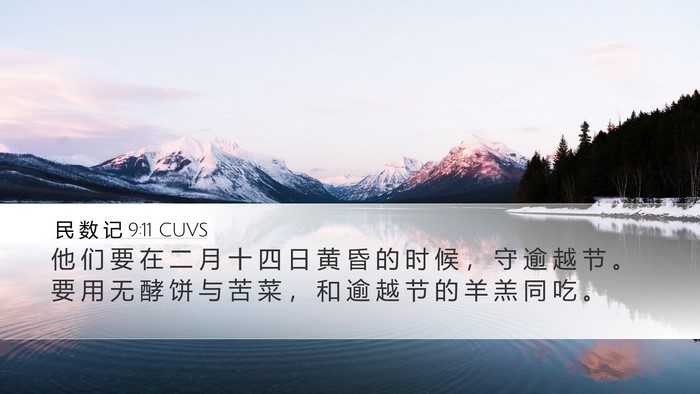 民 数 记 9:11 CUVS Bible Verse Image