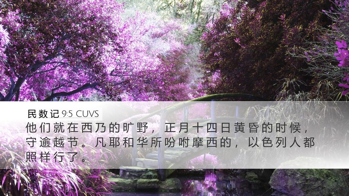 民 数 记 9:5 CUVS Bible Verse Image