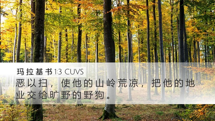 玛 拉 基 书 1:3 CUVS Bible Verse Image