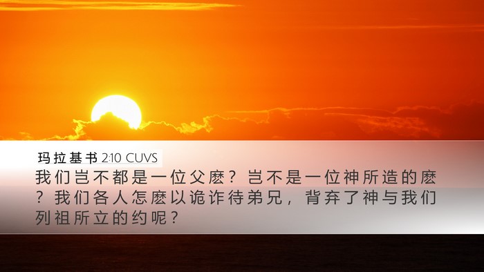 玛 拉 基 书 2:10 CUVS Bible Verse Image