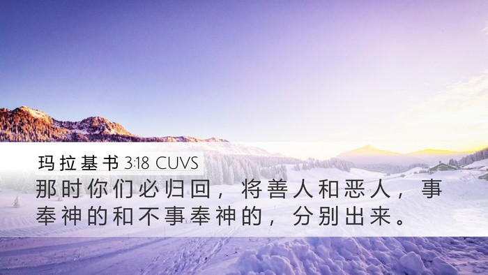 玛 拉 基 书 3:18 CUVS Bible Verse Image