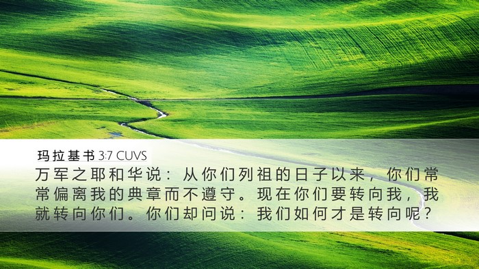 玛 拉 基 书 3:7 CUVS Bible Verse Image