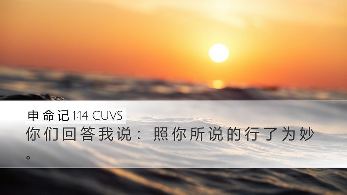 申 命 记 1:14 CUVS Desktop Wallpaper - 你 们 回 答 我 说 ： 照 你 所 说 的 - Desktop Bible Verse Wallpaper