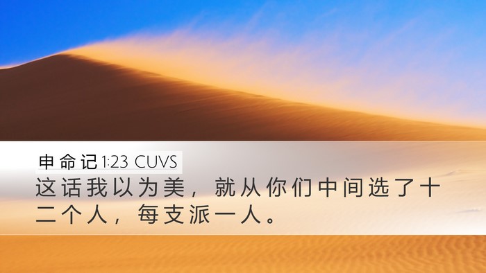 申 命 记 1:23 CUVS Bible Verse Image