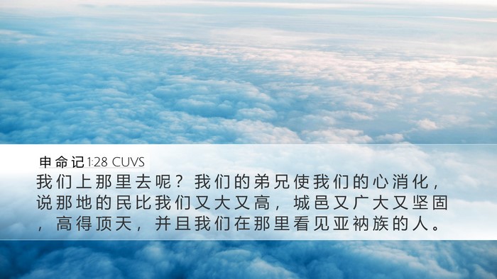 申 命 记 1:28 CUVS Bible Verse Image