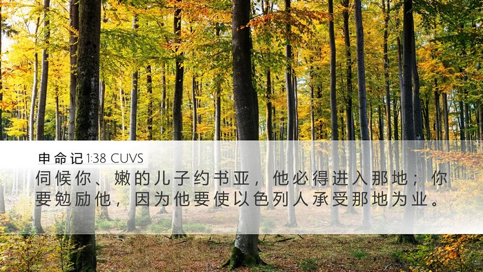 申 命 记 1:38 CUVS Bible Verse Image