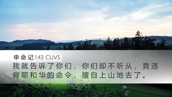 申 命 记 1:43 CUVS Bible Verse Image