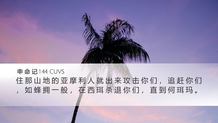 申 命 记 1:44 CUVS Bible Verse Image