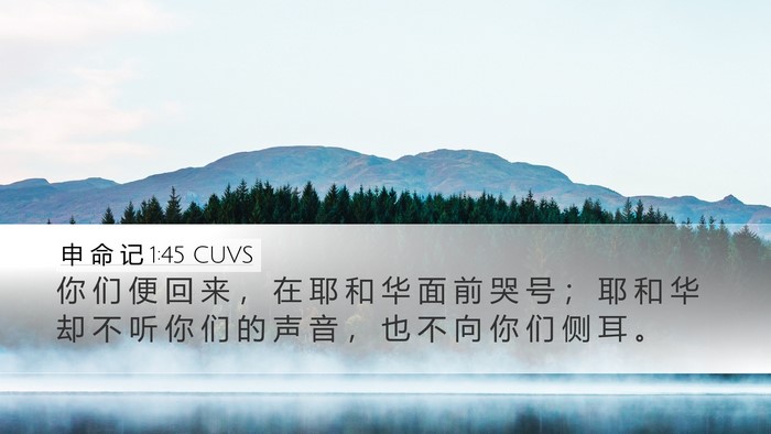 申 命 记 1:45 CUVS Bible Verse Image
