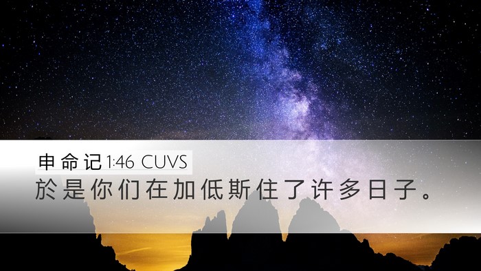 申 命 记 1:46 CUVS Bible Verse Image
