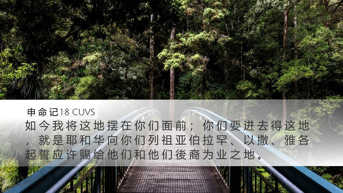 申 命 记 1:8 CUVS Desktop Wallpaper - 如 今 我 将 这 地 摆 在 你 们 面 前 - Desktop Bible Verse Wallpaper