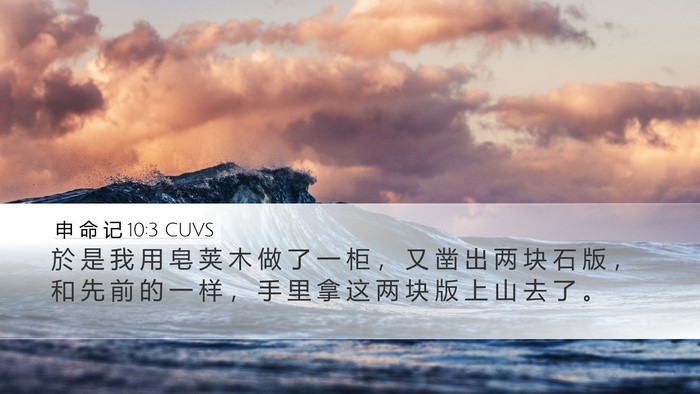 申 命 记 10:3 CUVS Desktop Wallpaper - 於 是 我 用 皂 荚 木 做 了 一 柜 ， - Desktop Bible Verse Wallpaper