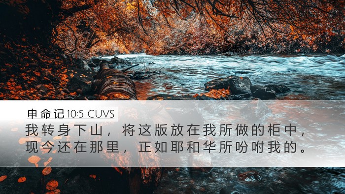 申 命 记 10:5 CUVS Bible Verse Image