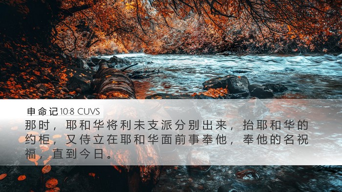 申 命 记 10:8 CUVS Bible Verse Image