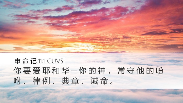 申 命 记 11:1 CUVS Bible Verse Image