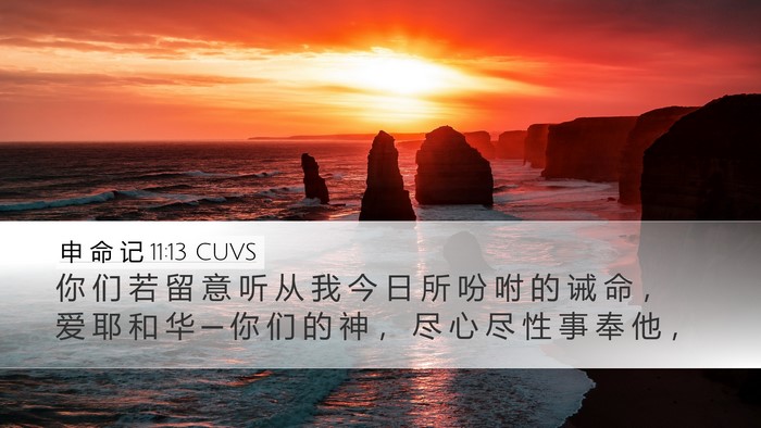 申 命 记 11:13 CUVS Bible Verse Image