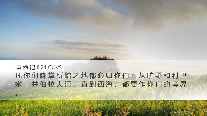申 命 记 11:24 CUVS Bible Verse Image