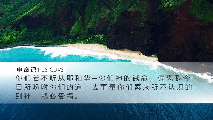 申 命 记 11:28 CUVS Bible Verse Image