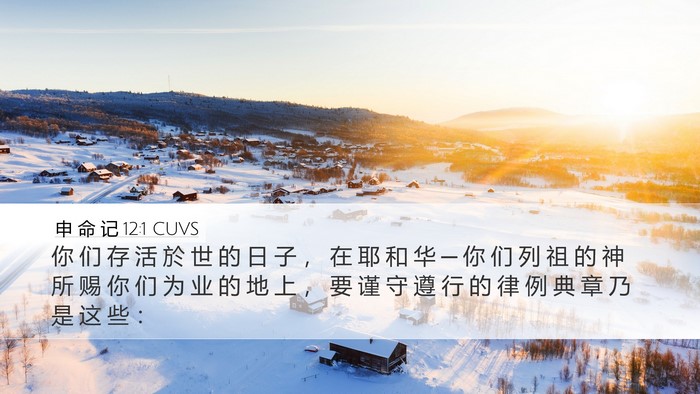 申 命 记 12:1 CUVS Bible Verse Image