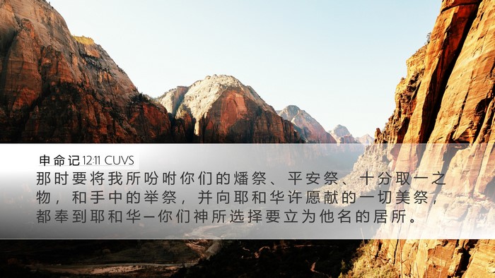 申 命 记 12:11 CUVS Bible Verse Image
