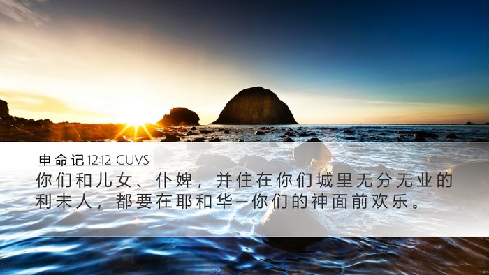 申 命 记 12:12 CUVS Bible Verse Image