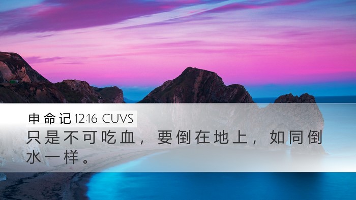 申 命 记 12:16 CUVS Bible Verse Image