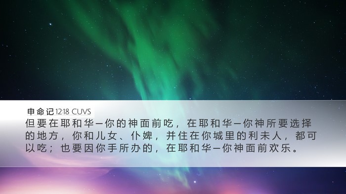 申 命 记 12:18 CUVS Bible Verse Image