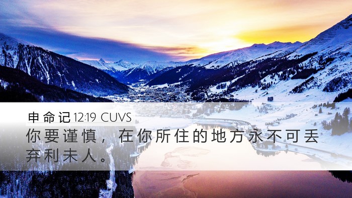申 命 记 12:19 CUVS Bible Verse Image