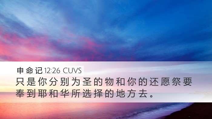 申 命 记 12:26 CUVS Bible Verse Image