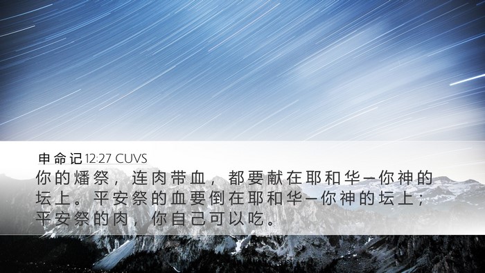 申 命 记 12:27 CUVS Bible Verse Image
