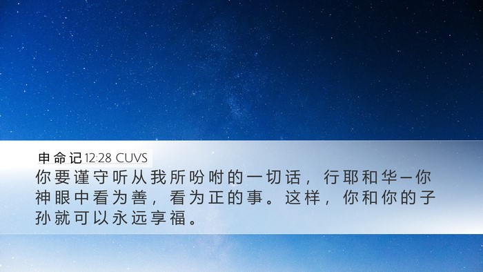 申 命 记 12:28 CUVS Bible Verse Image