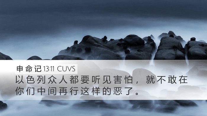 申 命 记 13:11 CUVS Bible Verse Image