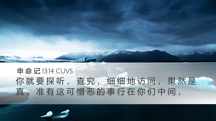申 命 记 13:14 CUVS Bible Verse Image