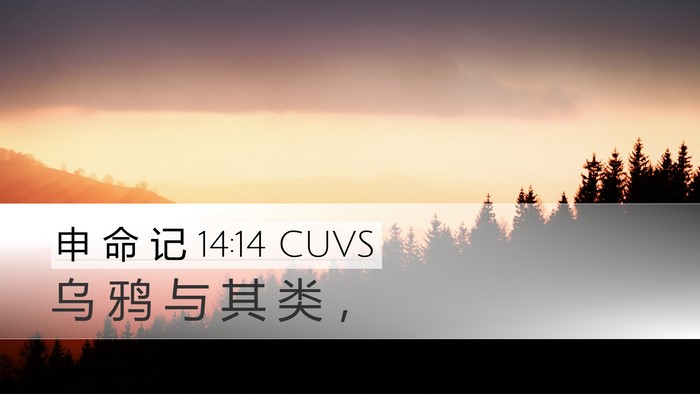 申 命 记 14:14 CUVS Desktop Wallpaper - 乌 鸦 与 其 类 - Desktop Bible Verse Wallpaper