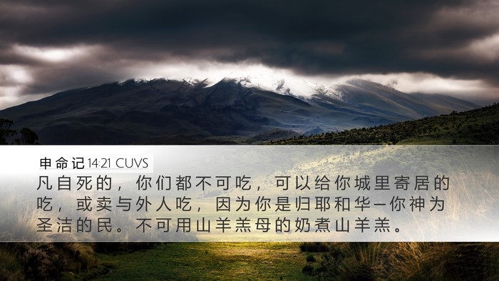 申 命 记 14:21 CUVS Bible Verse Image