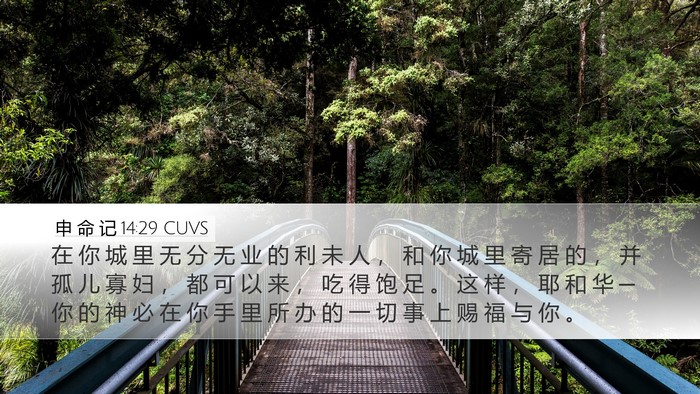 申 命 记 14:29 CUVS Bible Verse Image
