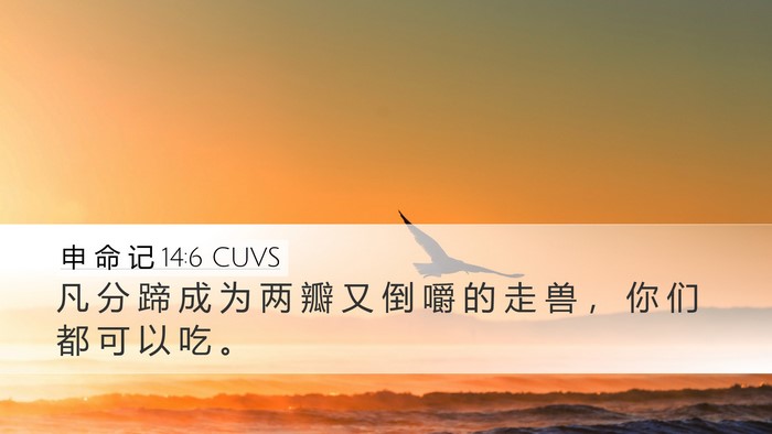 申 命 记 14:6 CUVS Desktop Wallpaper - 凡 分 蹄 成 为 两 瓣 又 倒 嚼 的 走 - Desktop Bible Verse Wallpaper