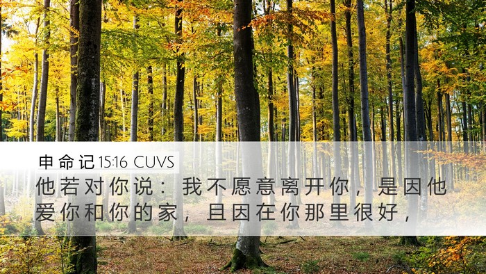 申 命 记 15:16 CUVS Bible Verse Image