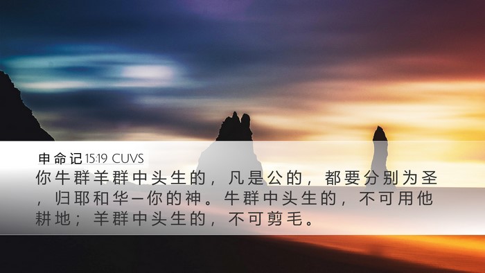申 命 记 15:19 CUVS Bible Verse Image