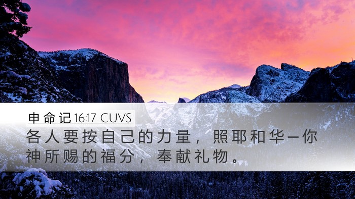 申 命 记 16:17 CUVS Desktop Wallpaper - 各 人 要 按 自 己 的 力 量 ， 照 耶 - Desktop Bible Verse Wallpaper