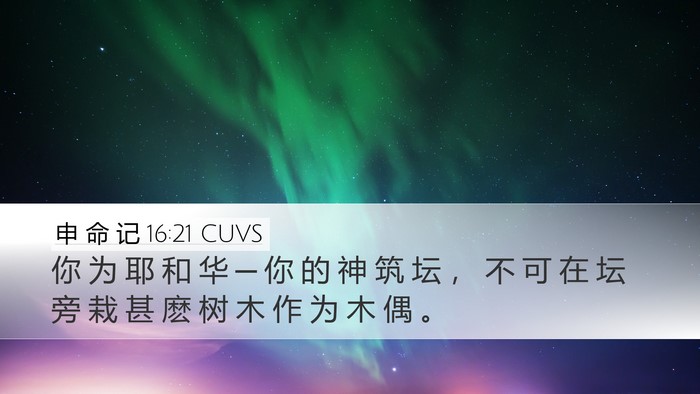 申 命 记 16:21 CUVS Bible Verse Image