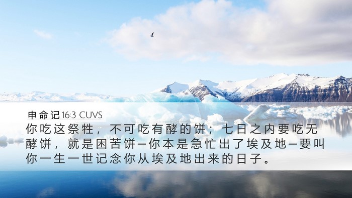 申 命 记 16:3 CUVS Bible Verse Image