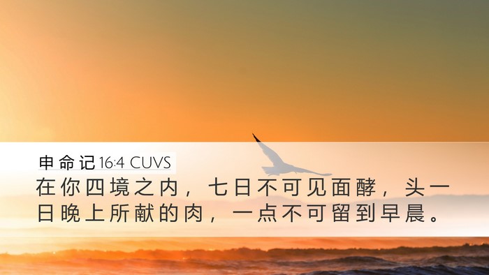 申 命 记 16:4 CUVS Desktop Wallpaper - 在 你 四 境 之 内 ， 七 日 不 可 见 - Desktop Bible Verse Wallpaper