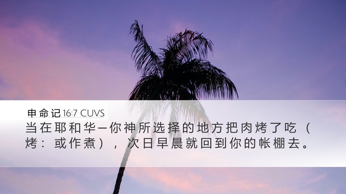 申 命 记 16:7 CUVS Desktop Wallpaper - 当 在 耶 和 华 ─ 你 神 所 选 择 的 - Desktop Bible Verse Wallpaper