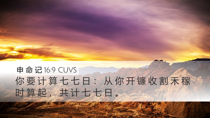 申 命 记 16:9 CUVS Bible Verse Image