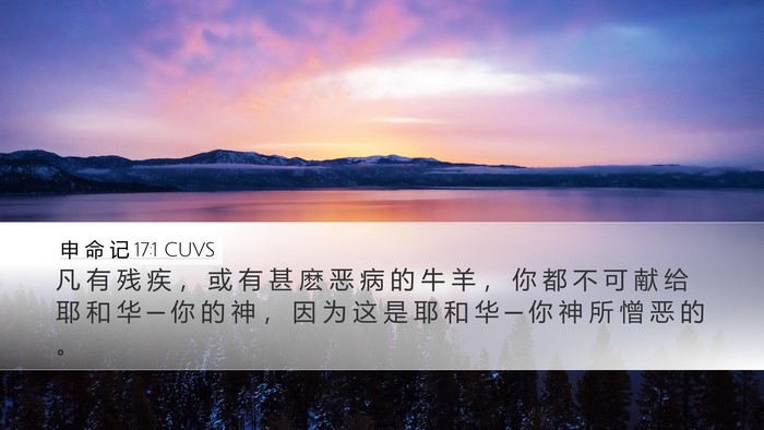 申 命 记 17:1 CUVS Bible Verse Image