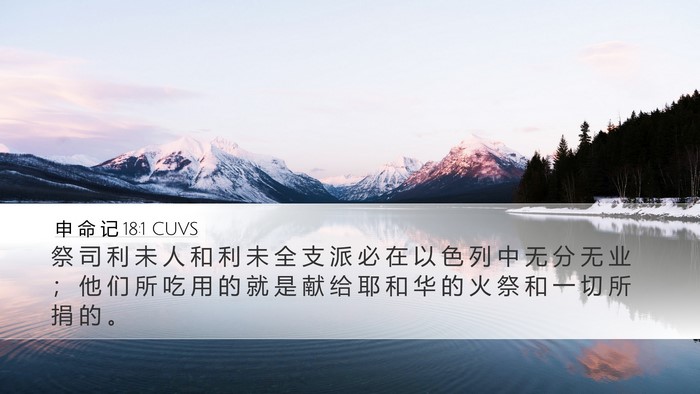 申 命 记 18:1 CUVS Bible Verse Image