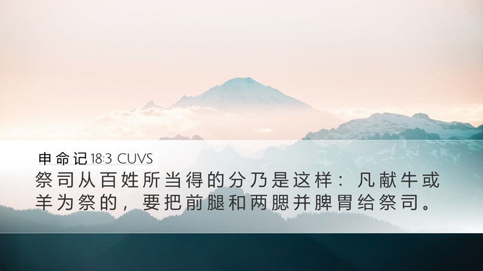 申 命 记 18:3 CUVS Bible Verse Image
