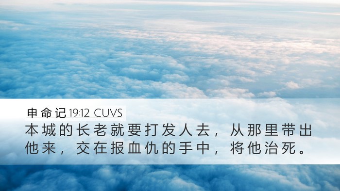 申 命 记 19:12 CUVS Bible Verse Image